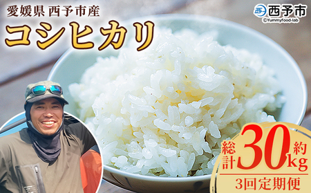 【先行予約】＜令和8年産 愛媛県西予市産 コシヒカリ 10kg（3回定期便）＞ 定期便 お米 コメ こめ 白米 精米 ご飯 新鮮 10キロ 愛媛県産 宇和町産 こしひかり 特産品 もとき農園 愛媛県 西予市【常温】『2026年10月・11月頃から順次発送予定』 UMK0013