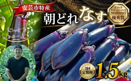 [3回定期便]なす1.5kg 安芸 なす