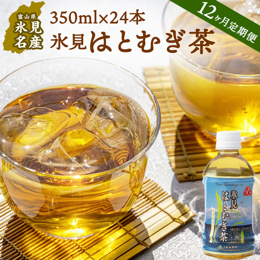 【12ヶ月定期便】氷見はとむぎ茶　ペットボトル 350ml × 24本