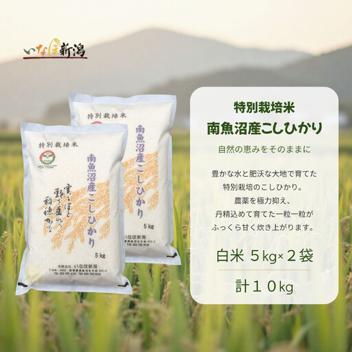 【令和8年 新米】南魚沼産コシヒカリ特別栽培米 白米 10kg(5kg×2) | コシヒカリ