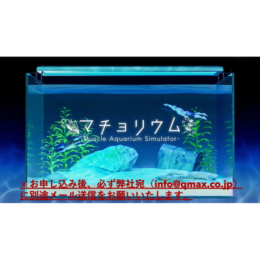 「マチョリウム -Muscle Aquarium Simulator-」 NintendoSwitch?版 オンラインコード