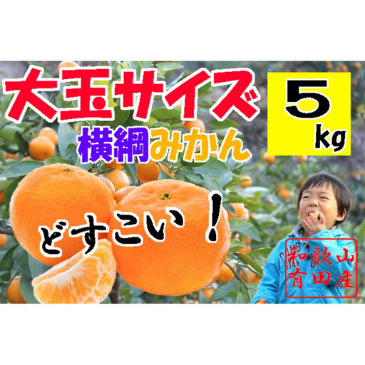 横綱有田みかん 大玉サイズ5kg