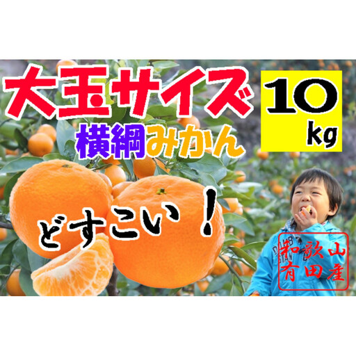 横綱有田みかん 大玉サイズ10kg