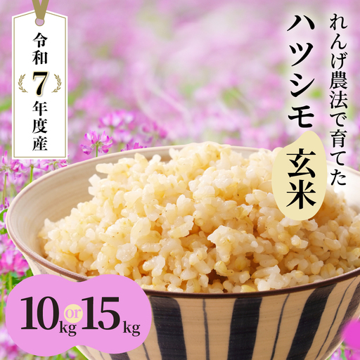 玄米 R7年産 10kg  ハツシモ｜玄米
