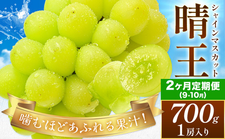 [発送先行予約][2ヶ月定期便]ぶどう シャインマスカット 晴王 約700g(1房入り)×2ヶ月定期便 満天フルーツ[9月上旬-10月末頃出荷]岡山県 浅口市 マスカット フルーツ 果物 お取り寄せ 贈り物 ギフト 岡山県産[配送不可地域あり]