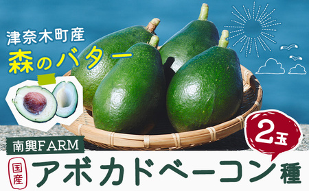 国産 アボカド ベーコン種 2玉入り [10月上旬-11月上旬頃出荷]熊本県 津奈木町 アボカド アボカドベーコン 果物 旬 果物 南興ファーム