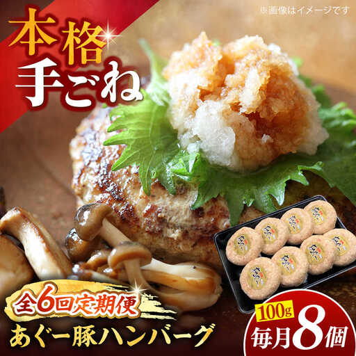 【全6回定期便】沖縄県産あぐー豚ハンバーグセット 800g (100g×8個) 豚 ハンバーグ 冷凍 ギフト お取り寄せ 沖縄市 / お肉屋本店[BCAZ010]