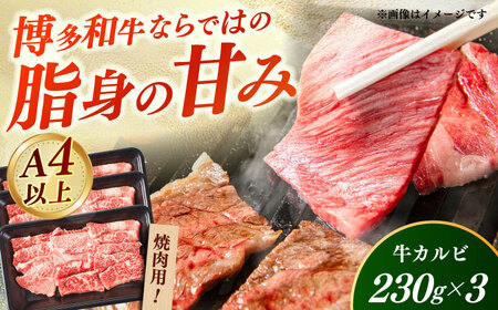 【A4‐A5】国産牛カルビ焼肉用 690g（230g×3） 博多和牛 肉 牛肉 人気 おすすめ[ABDD079]