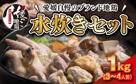 媛っこ地鶏 水炊き用セット(3〜4人前)