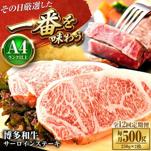【全12回定期便】【A4-A5】博多和牛 サーロインステーキ 500g(250g×2枚) [BGAB114]