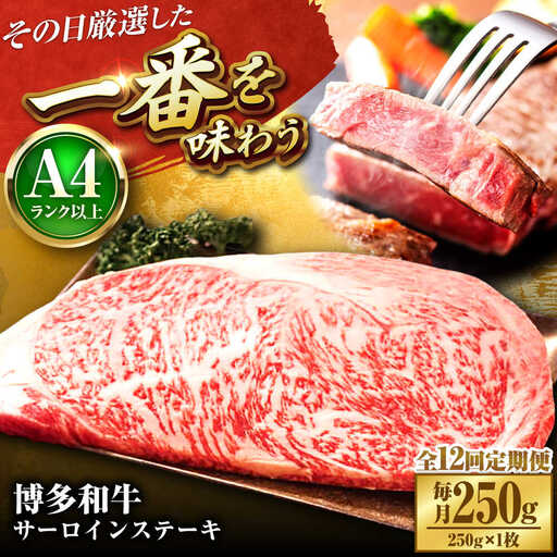 【全12回定期便】【A4-A5】博多和牛 サーロインステーキ 250g(250g×1枚) [BGAB117]