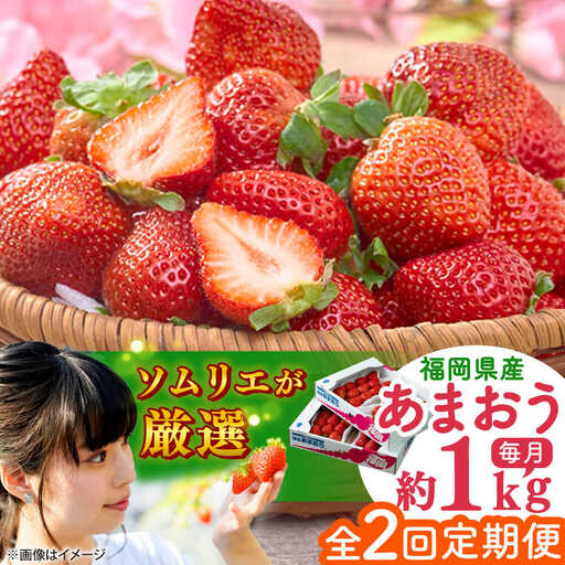 [全2回定期便]福岡産 春あまおう 250g×4P BGAG051 あまおう