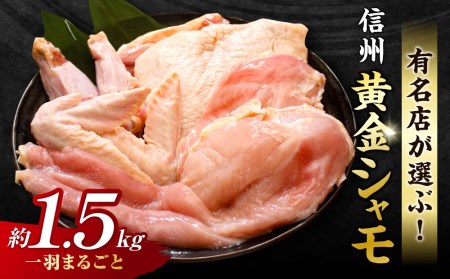 信州黄金シャモ1羽まるごとセット 地鶏