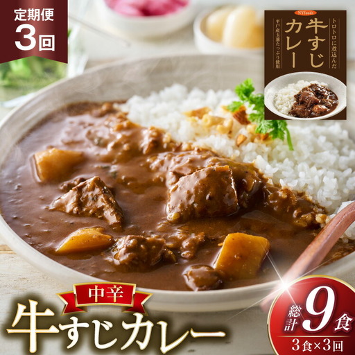 牛すじ カレー 3食 セット 中辛 3回 定期便