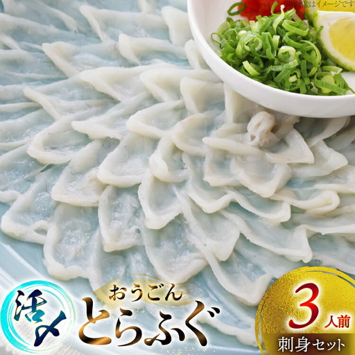 ふぐ 刺身 セット 活〆 おうごんとらふぐ 刺身セット 3人前