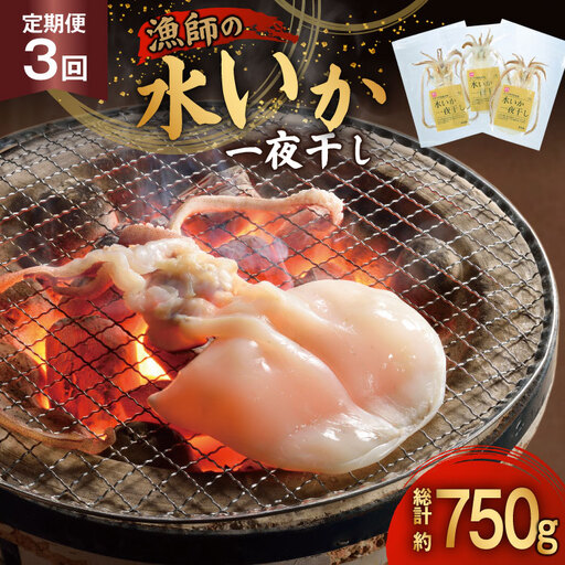 いか 一夜干し 干物 漁師の水烏賊一夜干し 2～3枚 約250g 3回 定期便 総計750g