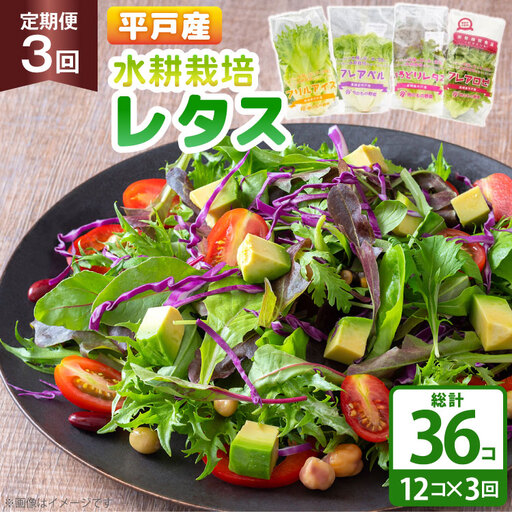 レタス 水耕栽培 4種 12袋 セット 3回 定期便 総計36袋 食べ比べ 詰め合わせ