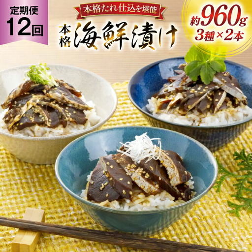刺身 漬け丼 本格 海鮮漬け セット 160g 6本 12回 定期便 総計1.1kg 詰め合わせ 食べ比べ