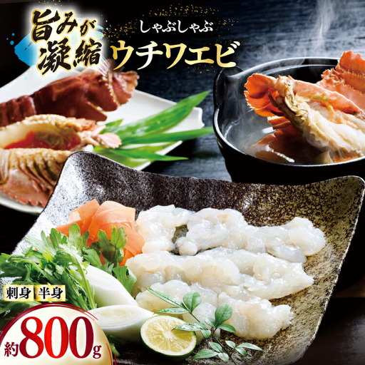 うちわえび エビ 海老 刺身 しゃぶしゃぶ 海鮮 ウチワエビ刺身 約400g・ウチワエビ半身 約400g セット 総計800g