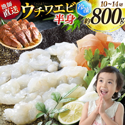 うちわえび エビ 海老 海鮮 冷凍 小分け ウチワエビ半身 約800g 10～14切