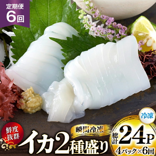 海鮮 魚介 イカ 2種盛り（胴体＋ エンペラ ・ ゲソ ） 6回 定期便