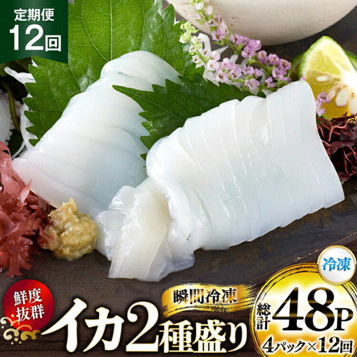 海鮮 魚介 イカ 2種盛り（胴体＋ エンペラ ・ ゲソ ） 12回 定期便