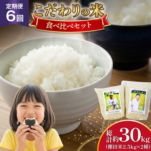 米 令和7年 棚田米 2.5kg 2袋 5kg 6回 定期便 総計 30kg