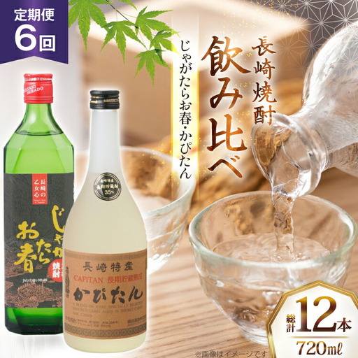 酒 焼酎 じゃがたらお春 かぴたん 720ml 計2本 6回 定期便