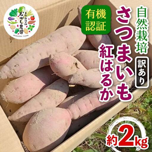 ≪訳あり≫ 有機認証 自然栽培 さつまいも (紅はるか) サイズ 混合 約2kg 【むがし農園】 オーガニック F21U-595