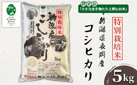 P1-01A新潟県長岡産特別栽培米コシヒカリ 5kg【「小さな生き物たちと育むお米」認証品】
