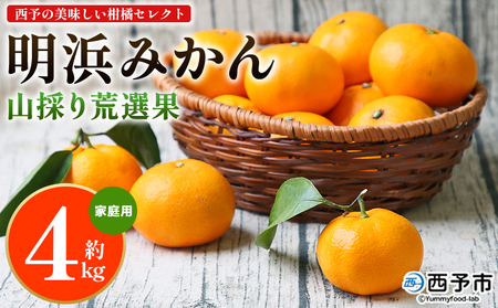 [先行予約][西予の美味しい柑橘セレクト(ご家庭用)/明浜みかん 山採り 荒選果(約4kg)] 果物 くだもの フルーツ 蜜柑 みかん ミカン 柑橘 ご家庭用 温州みかん 食べて応援 国産 愛媛県産 特産品 西予倶楽部 愛媛県 西予市『2026年11月中旬から2027年1月中旬迄に順次出荷予定』[常温]OMC0015