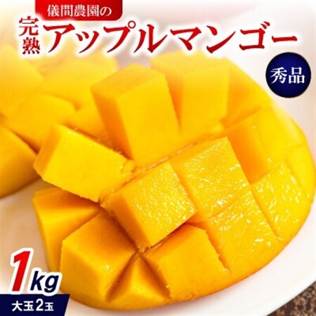 【2027年6月下旬から順次発送・贈答用】儀間農園の完熟アップルマンゴー 秀品1kg(大玉2玉)【配送不可地域：離島】【1672922】