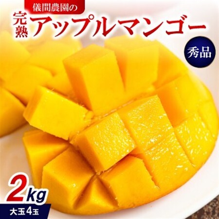 【2027年6月下旬から順次発送・贈答用】儀間農園の完熟アップルマンゴー 秀品2kg(大玉4玉)【配送不可地域：離島】【1672923】