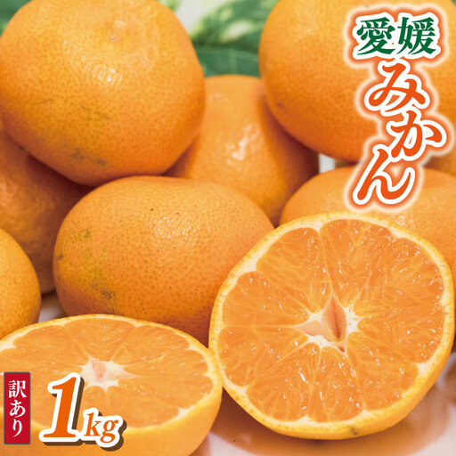 【みかん】訳あり 愛媛みかん 1kg | 愛媛県 松山市 【VEG1021】