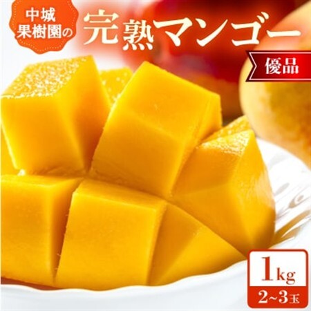 【2026年7月から順次発送・化粧箱】中城果樹園の完熟マンゴー 優品1.0kg(2～3玉)【配送不可地域：離島】【1673160】