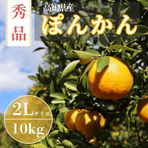徳村のぽんかん 2Lサイズ＜10kg＞