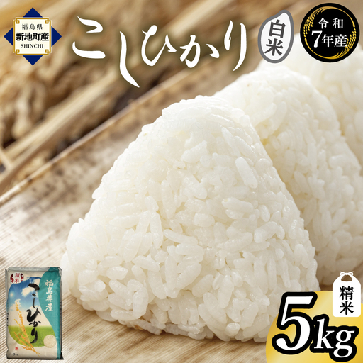こしひかり  5kg 令和7年度産 精米 福島県新地町産