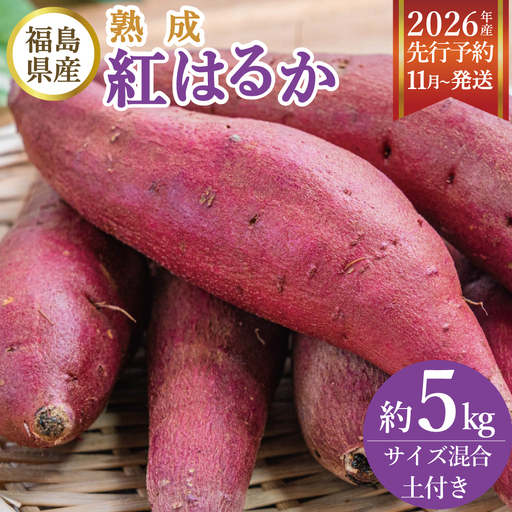 福島県産 熟成 紅はるか さつまいも 5kg 令和8年産 | さつま芋 お取り寄せ 生さつま芋 福島県 新地町 農家直送 べにはるか 焼き芋