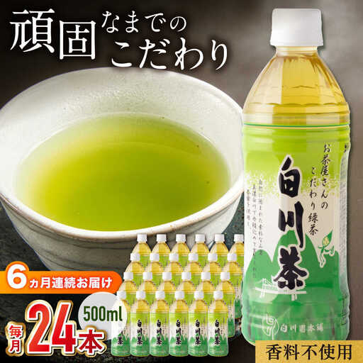 【6回定期便】緑茶ペットボトル 500ml×24本入 / 白川園本舗[AWAT007]緑茶