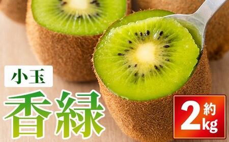 [先行予約!2026年11月下旬以降順次発送予定]香川県産 香緑キウイ(約2kg/小玉) 国産 果物 キウイフルーツ 産地直送 [man354][Aglio nero]
