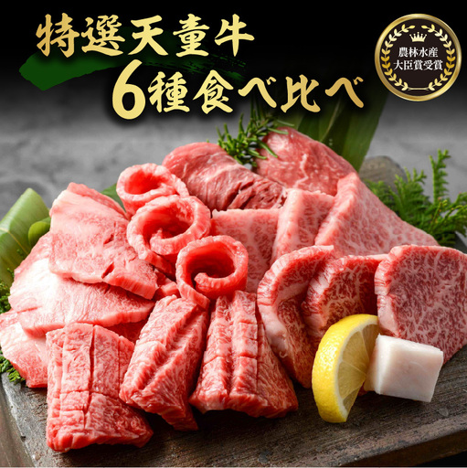 農林水産大臣賞受賞 特選 天童牛 6種 食べ比べ セット 山形 和の奏