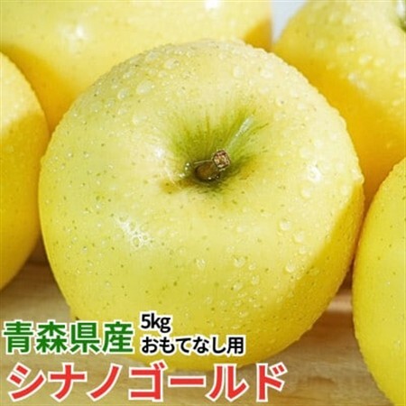 【12月出荷予定】平均糖度13度以上! シナノゴールド 約5kg おもてなし用【配送不可地域：離島・沖縄県】【1668087】