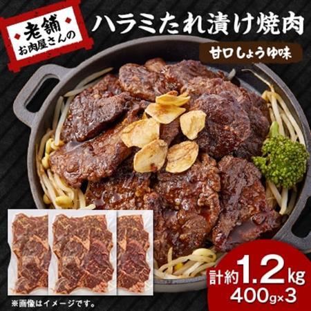 《約1.2kg》当店注文率No.1のハラミたれ漬け焼肉(甘口しょうゆ味)　ホットプレート派に人気【配送不可地域：離島】【1677668】