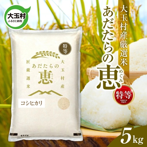 米 大玉村産厳選米「あだたらの恵」特等（品種：コシヒカリ） 5kg 《 令和7年産  》｜ 福島 大玉村 お米 米作り こしひかり 令和7年 精米 白米 こめ コメ ご飯 送料無料 大玉村農業振興公社 ｜ on-akt-5kg-r7