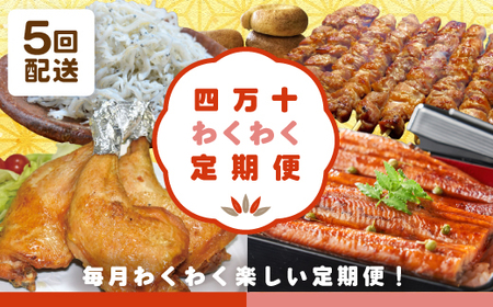 【5回定期便】四万十わくわく定期便5万円コース 定期便 5回 5万コース 魚介 魚 しらす シラス うなぎ ウナギ 鰻 豚肉 豚 ポーク 鶏肉 鶏 チキン パン 冷凍パン ベーグル ごちそう 贅沢 惣菜 おかず 高知 四万十 しまんと 39210-999-9008