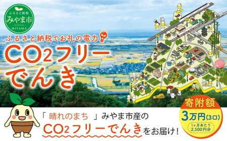 Z3 みやま市産 CO2 フリーでんき （2,500円×3ヶ月分） 電気料金 電気代 電力 エネルギー 節約 福岡県 みやま市