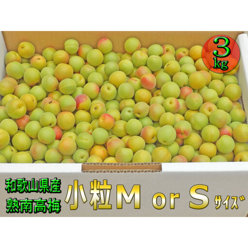 [梅干・梅酒用]小粒(SまたはM-3Kg)熟南高梅[2027年6月上旬〜7月中旬発送予定]フルーツ 果物 くだもの 食品 人気 おすすめ 送料無料[ART20]