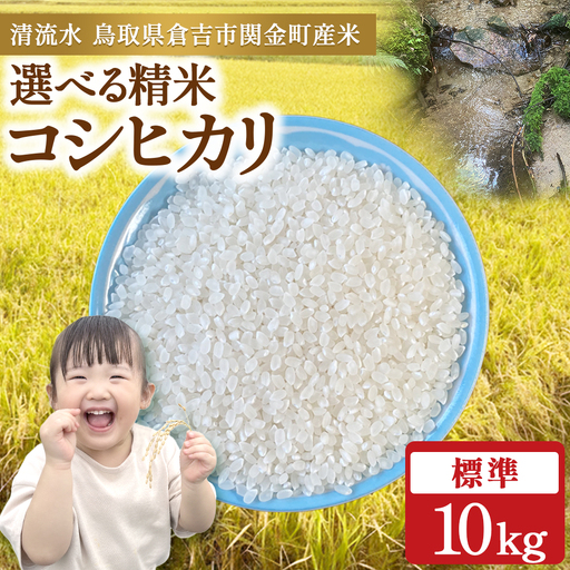 令和8年産米 コシヒカリ 10kg(標準)新米 こしひかり