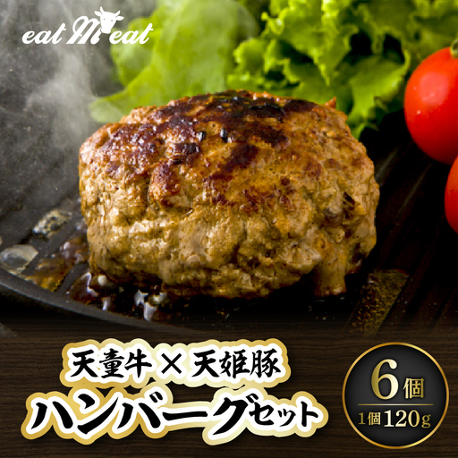 イートミート オリジナル ハンバーグ セット 120g×6個