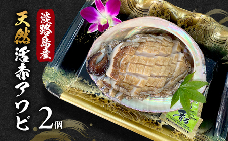 あわび 淡路島 天然 赤あわび 400g あわび